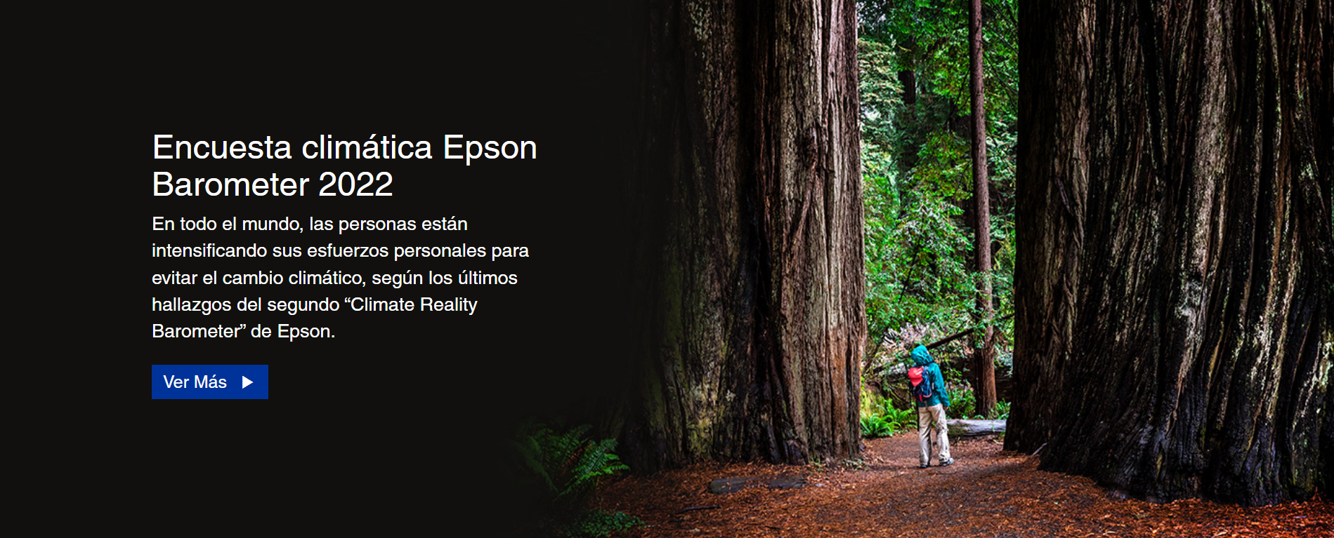Sitio web del fabricante Epson.