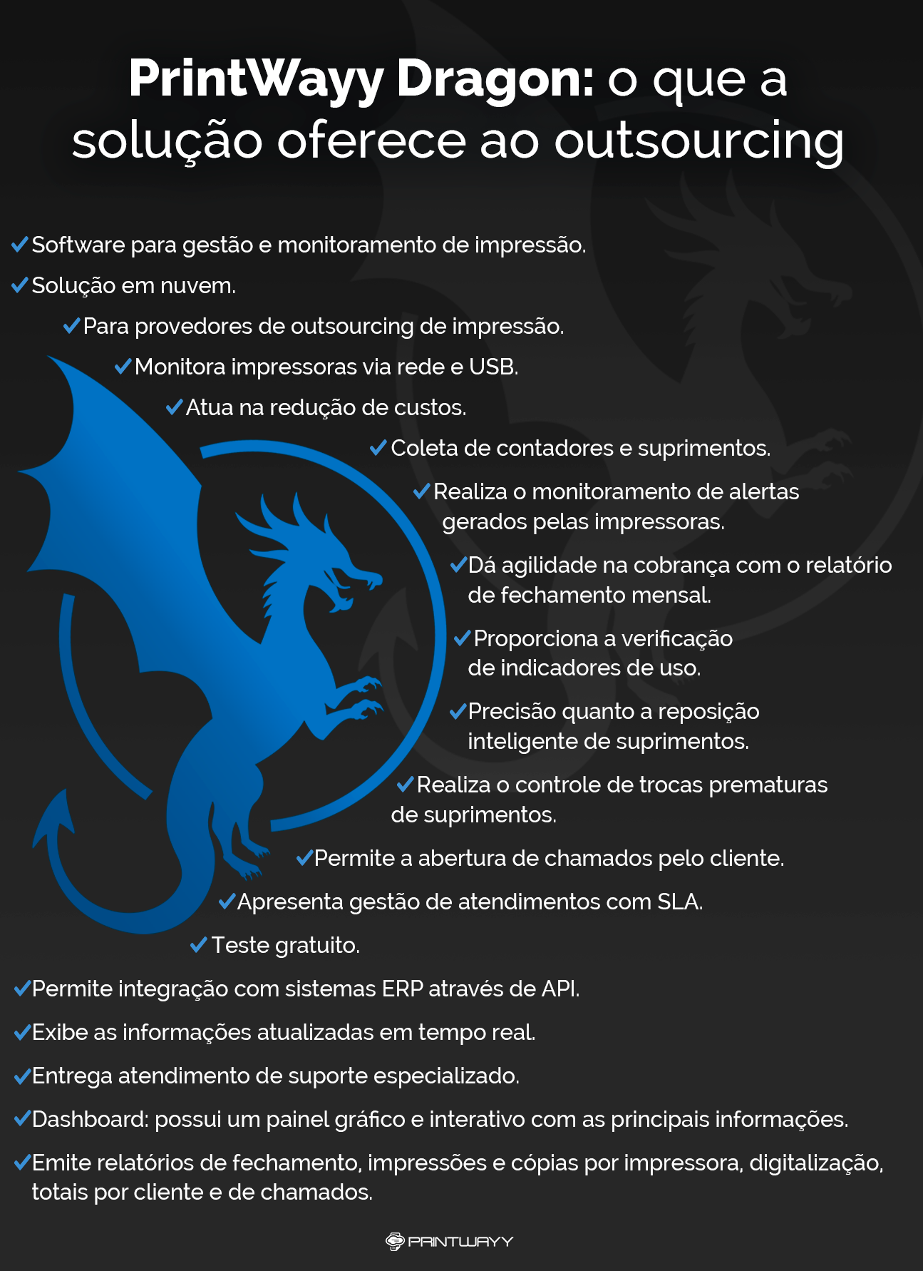 Infográfico com as características do PrintWayy Dragon.